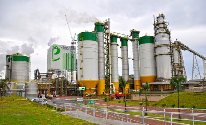 Eldorado Brasil, fábricas de celulose, produção de eucaliptos