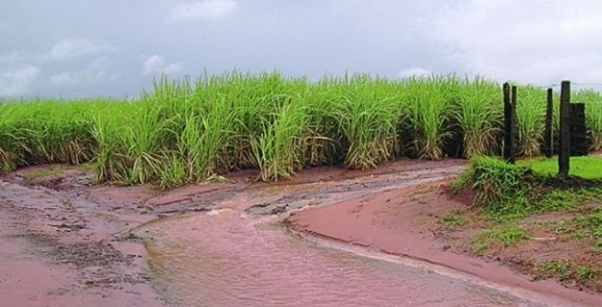 Chuvas atrapalham safra de cana-de-açúcar em novembro