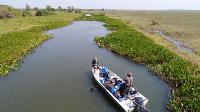 PMA prende pescadores durante fiscalização no Pantanal