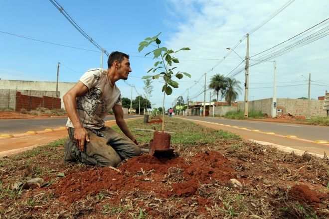 Avenida Milton Damasceno recebe plantio de árvores pelo Projeto “Áreas Mais Verdes” 
