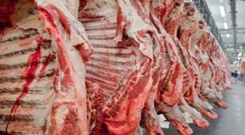 MS pode exportar mais com abertura dos EUA para carne in natura