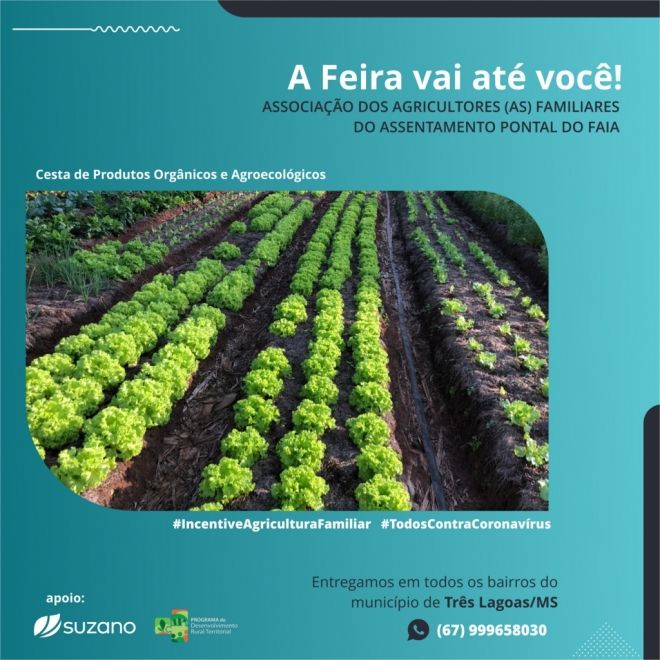Suzano lança ação para fortalecer vendas da agricultura familiar de MS
