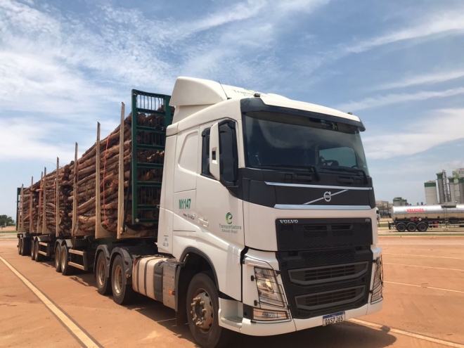 Eldorado Brasil amplia frota de caminhões e abre oportunidades de empregos