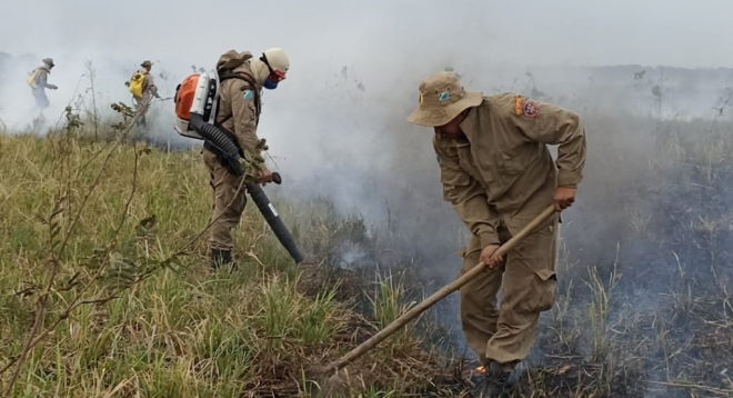 MS reduziu em 46,60% área queimada no Pantanal em 2021
