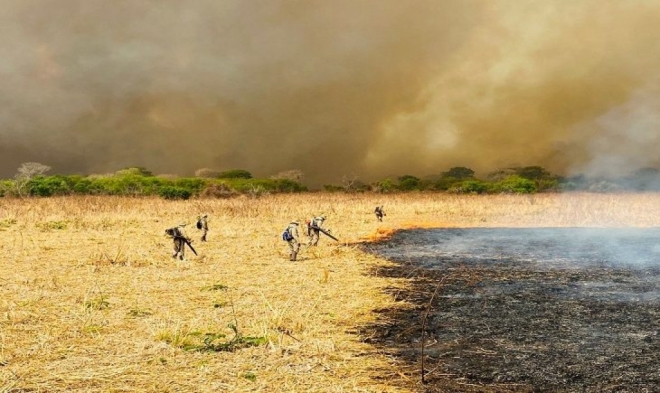 Pesquisadores da UEMS analisam fogo histórico no Pantanal