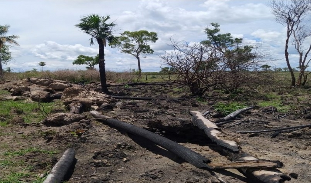 Paranaense é multado em R$ 301 mil por incendiar vegetação de Mata Atlântica