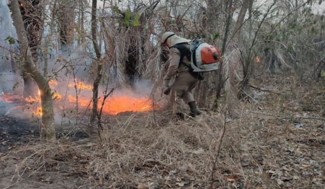 INcêndio Pantanal