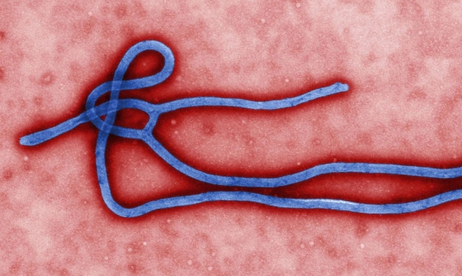 Novo surto de ebola atinge a República Democrática do Congo