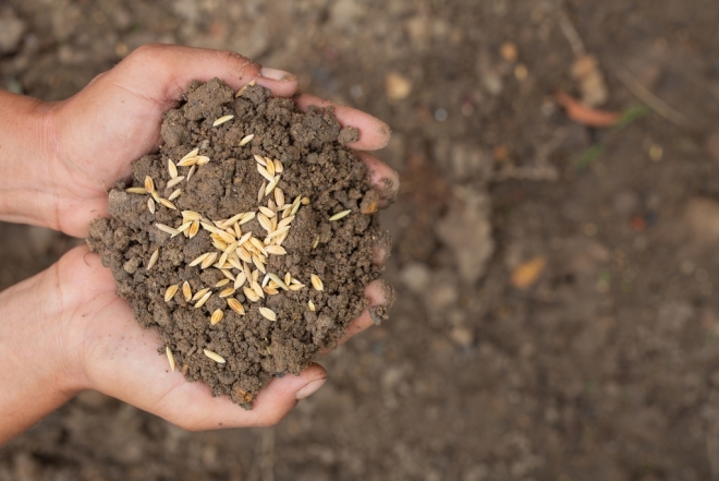 Governo deve impedir preços abusivos de fertilizantes, defende autor de proposta de fiscalização