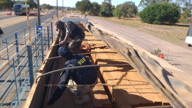 Transportadora é multada em quase R$ 9 mil por transporte ilegal de madeira